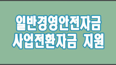 2024 경북 일반경영안정자금 사업전환자금 지원